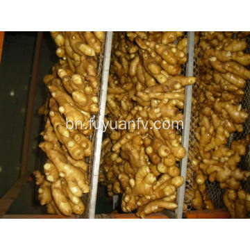 150g এবং তাজা রসুন পর্যন্ত